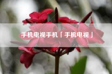 手机电视手机「手机电视」