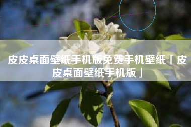 皮皮桌面壁纸手机版免费手机壁纸「皮皮桌面壁纸手机版」