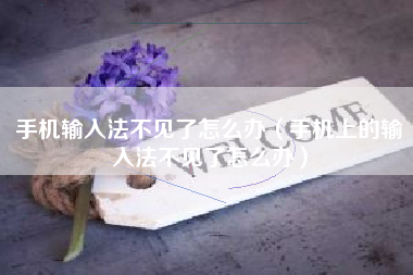 手机输入法不见了怎么办（手机上的输入法不见了怎么办）
