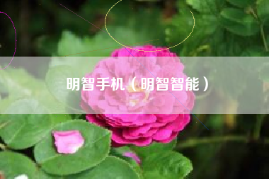 明智手机（明智智能）