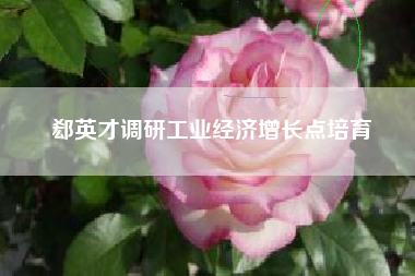 郄英才调研工业经济增长点培育