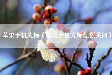 苹果手机光标（苹果手机光标怎么关闭）