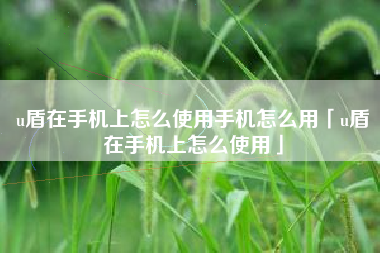 u盾在手机上怎么使用手机怎么用「u盾在手机上怎么使用」