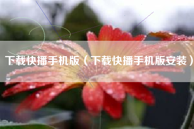 下载快播手机版（下载快播手机版安装）