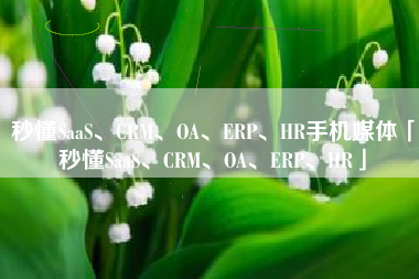 秒懂SaaS、CRM、OA、ERP、HR手机媒体「秒懂SaaS、CRM、OA、ERP、HR」