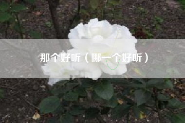 那个好听（哪一个好听）