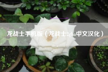 龙战士手机版（龙战士2gba中文汉化）