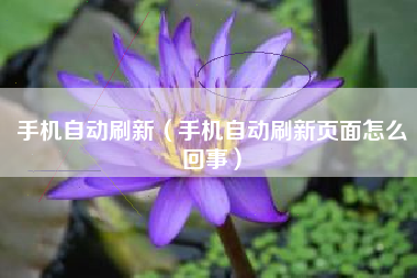 手机自动刷新（手机自动刷新页面怎么回事）