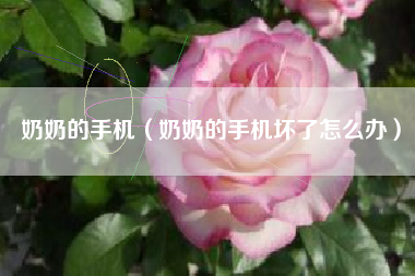 奶奶的手机（奶奶的手机坏了怎么办）