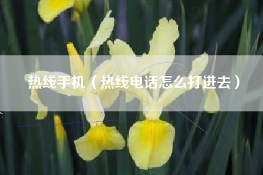 热线手机（热线电话怎么打进去）