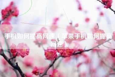手机如何提高网速（苹果手机如何提高网速）