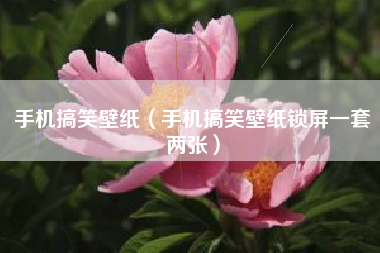 手机搞笑壁纸（手机搞笑壁纸锁屏一套两张）