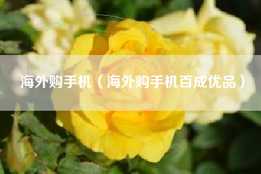 海外购手机（海外购手机百成优品）