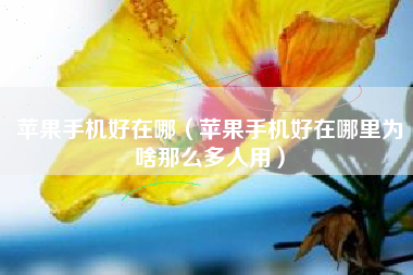 苹果手机好在哪（苹果手机好在哪里为啥那么多人用）