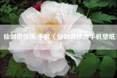 仙剑奇侠传 手机（仙剑奇侠传手机壁纸）
