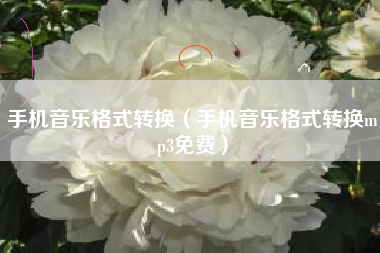 手机音乐格式转换（手机音乐格式转换mp3免费）