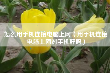 怎么用手机连接电脑上网（用手机连接电脑上网对手机好吗）