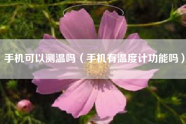 手机可以测温吗（手机有温度计功能吗）