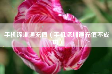 手机深圳通充值（手机深圳通充值不成功）