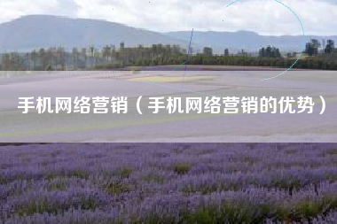 手机网络营销（手机网络营销的优势）
