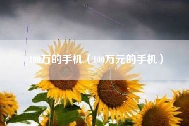 100万的手机（100万元的手机）