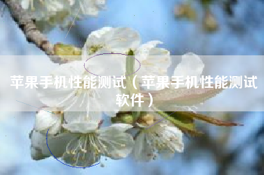 苹果手机性能测试（苹果手机性能测试软件）