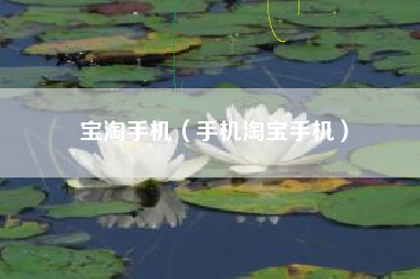 宝淘手机（手机淘宝手机）