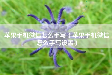 苹果手机微信怎么手写（苹果手机微信怎么手写设置）