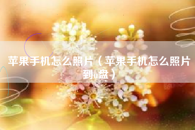 苹果手机怎么照片（苹果手机怎么照片到u盘）