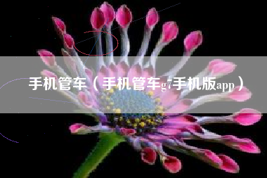 手机管车（手机管车g7手机版app）