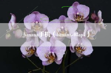 banana手机（banana-08apk）
