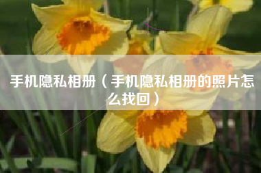 手机隐私相册（手机隐私相册的照片怎么找回）