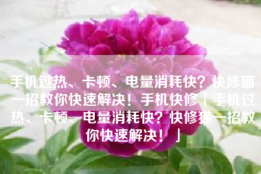 手机过热、卡顿、电量消耗快？快修猫一招教你快速解决！手机快修「手机过热、卡顿、电量消耗快？快修猫一招教你快速解决！」