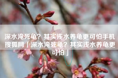深水淹死龟？其实浅水养龟更可怕手机搜狐网「深水淹死龟？其实浅水养龟更可怕」