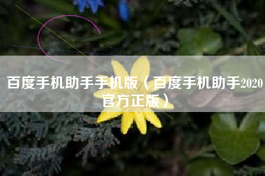 百度手机助手手机版（百度手机助手2020官方正版）