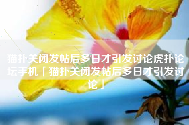 猫扑关闭发帖后多日才引发讨论虎扑论坛手机「猫扑关闭发帖后多日才引发讨论」