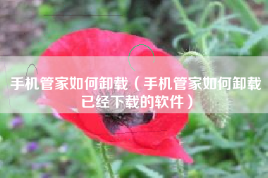 手机管家如何卸载（手机管家如何卸载已经下载的软件）