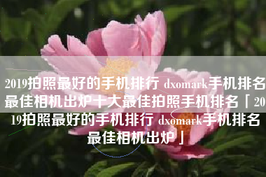 2019拍照最好的手机排行 dxomark手机排名最佳相机出炉十大最佳拍照手机排名「2019拍照最好的手机排行 dxomark手机排名最佳相机出炉」