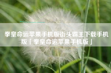 拳皇命运苹果手机版街头霸王下载手机版「拳皇命运苹果手机版」