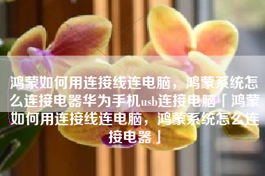 鸿蒙如何用连接线连电脑，鸿蒙系统怎么连接电器华为手机usb连接电脑「鸿蒙如何用连接线连电脑，鸿蒙系统怎么连接电器」