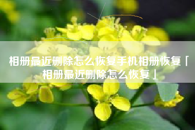 相册最近删除怎么恢复手机相册恢复「相册最近删除怎么恢复」